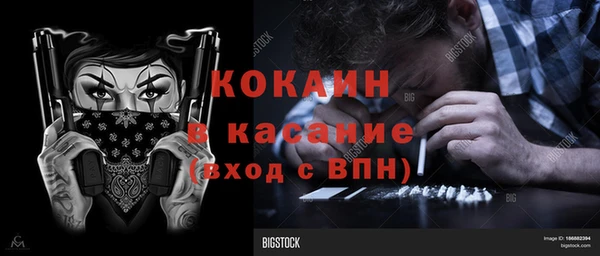 сатива Вяземский