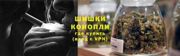 сатива Вяземский