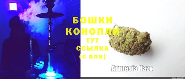 сатива Вяземский