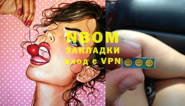 сатива Вяземский