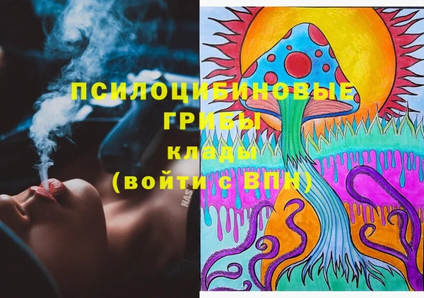 сатива Вяземский