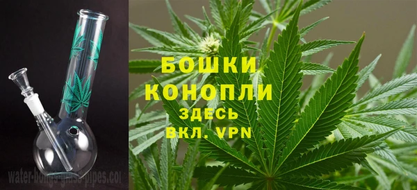 сатива Вяземский
