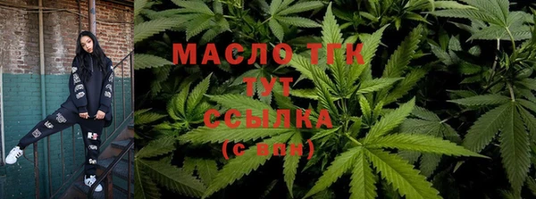 сатива Вяземский