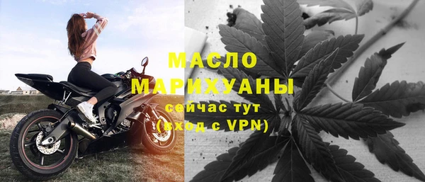 сатива Вяземский