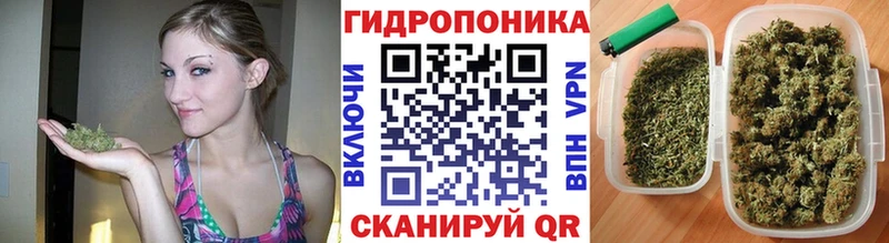 Купить закладки  Лабинск  Шишки марихуана White Widow 